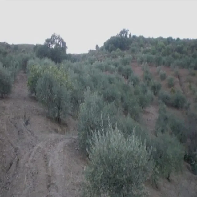 Parcela 40m² en venta - South of spain — 9