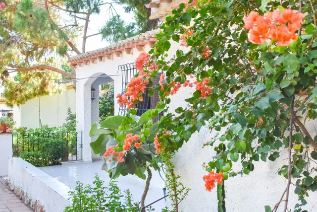 Casa 4 habitaciones 150m² en venta - Rocio del Mar — 16