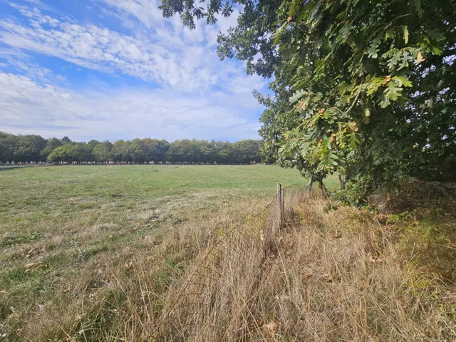 En exclusiva!!!!se vende casa  para entrar  a vivir con 12000 m2 de terreno en codosedo — 28