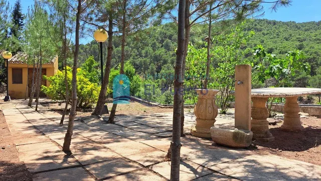 FINCA RÚSTICA CON DOS VIVIENDAS EN PLENO PARQUE NATURAL DE S - foto 2
