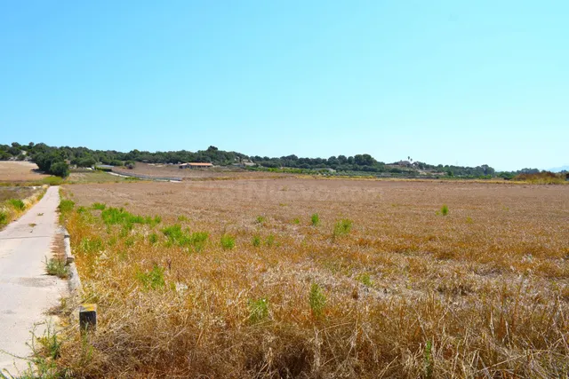Finca rústica con posibilidad de construir una vivienda en S - foto 4