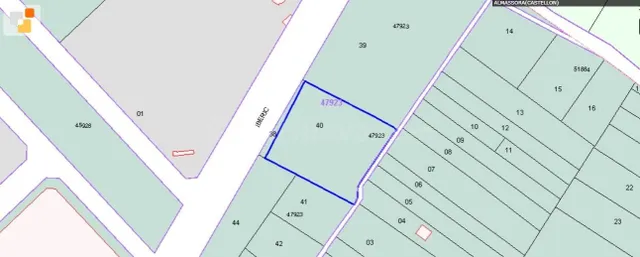 VENTA DE PARCELA EN SUELO URBANIZABLE NDUSTRIAL EN PARTIDA B - foto 2