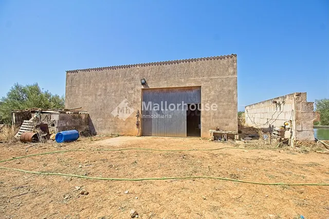 Finca rústica 1 habitación 600m² en venta - Son sant martí - foto 3