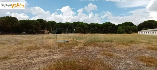 SE VENDE TERRENO CON NAVE EN SARDÓN DE DUERO (VALLADOLID) - foto 4