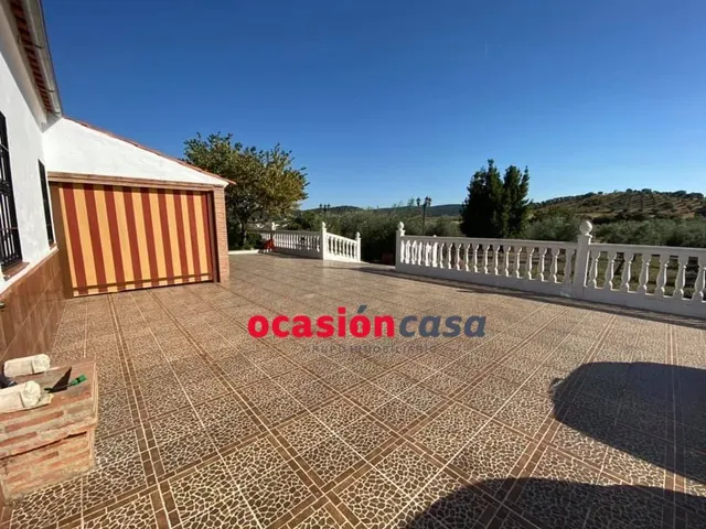 ESPECTACULAR PARCELA CON CASA, PISCINA Y OLIVOS - foto 3