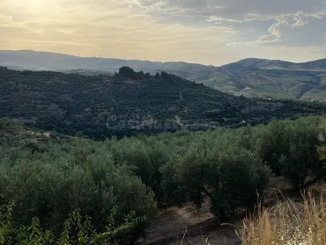 Paraje de los castillos - Restabal - foto 3