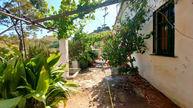CORTIJO PARA TI Y TUS ANIMALES — 4