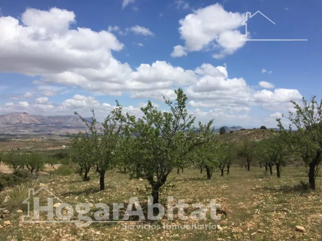 Naturaleza, privacidad y gran producción agrícola en esta singular finca rústica con cortijo tradicional en Vélez-Rubio — 11