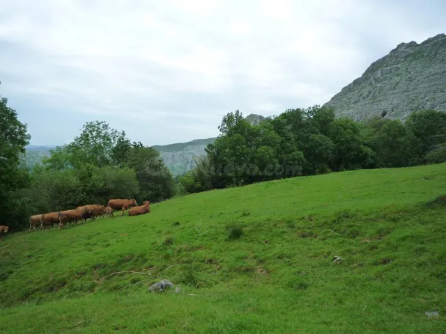 Cabaña 172m² en venta - Northern spain - foto 3