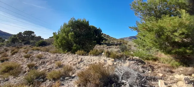 PARCELA 30.000 METROS DE TERRENO — 4