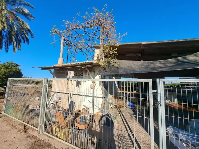 ESTUPENDO TERRENO CON VIVIENDA CERCANO AL PUEBLO - foto 4