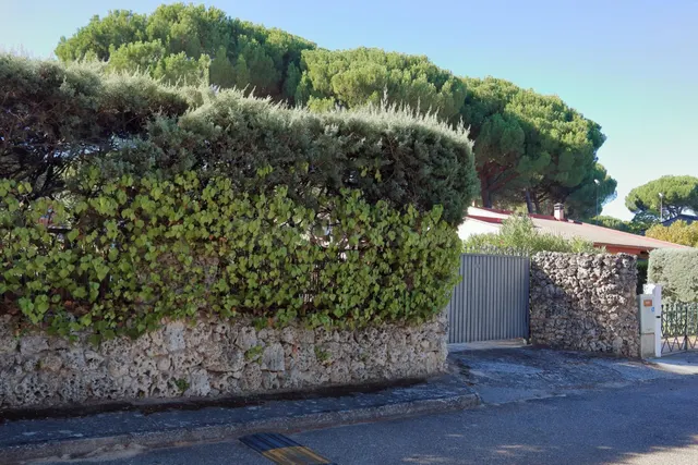 OPORTUNIDAD ÚNICA EN URB "LA COTARRA" - HERRERA DE DUERO - foto 3