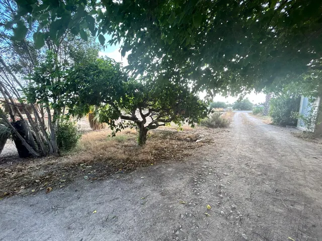 Exclusivo chalet para reformar a tu gusto a 5 min de Elche — 31