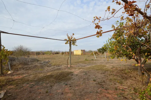PLANTA BAJA EN VENTA CON PARCELA, LA MAGDALENA — 3