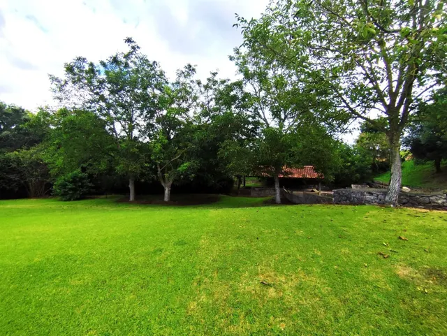 Casa independiente con mas de 2.000m2 de terreno — 24