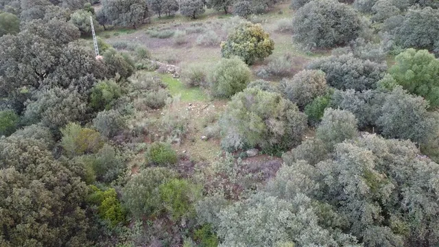 Casa-Chalet en Venta en Benalauria Málaga - foto 5