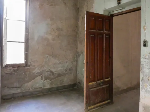 PALACETE HISTÓRICO DE 1900 EN EL CENTRO DE ALBERIC – 14 habitaciones, JARDINES Y GRAN POTENCIAL — 20