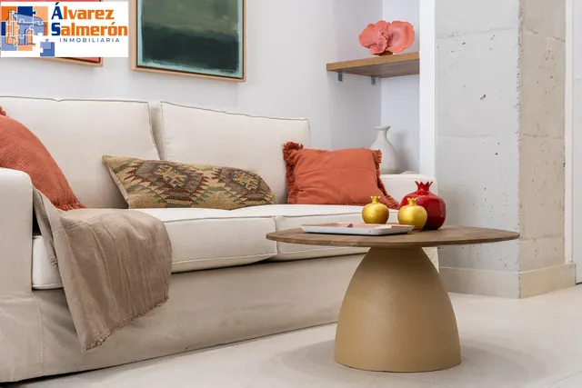PRECIOSO ESTUDIO DE LUJO EN URBANIZACION TRIUNFO JARDIN — 7