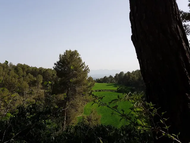 Parcela en venta en la urbanización de El Serrat — 7