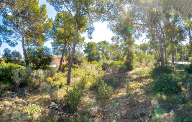 Solar edificable con proyecto en Cala Vinyes — 6