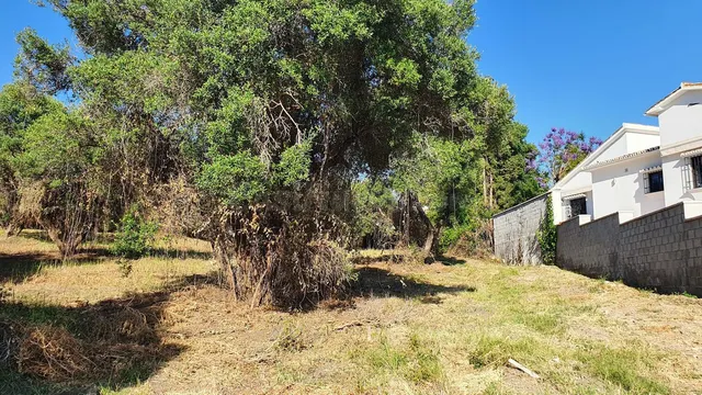 Parcela en venta - Marbella — 3