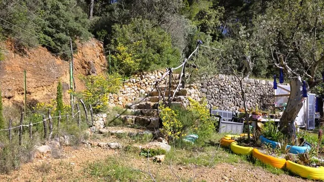 Olivar Con Caseta de Piedra y Vistas a la Tramuntana en Sóll - foto 3