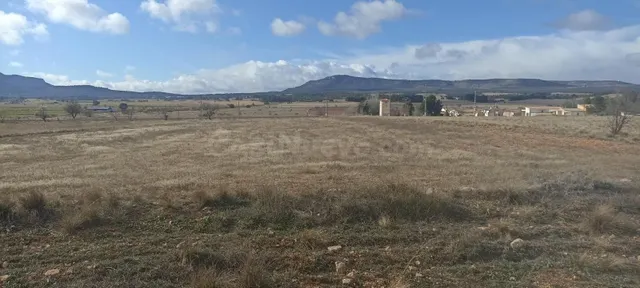 TERRENO EN CASAS DE MADRONA - foto 2