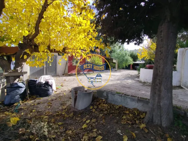 ¡¡¡OPORTUNIDAD!!! ENCANTADORA CASA DE CAMPO EN EXCLUSIVA EN ONTINYENT CON LUZ Y AGUA — 23
