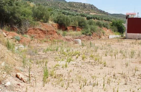 Parcela en La Puerta de Segura (Jaén)