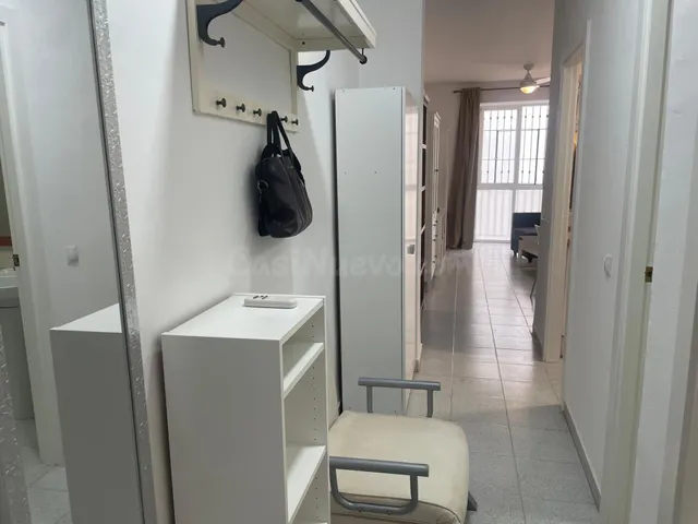 ¡ALQUILER DE APARTAMENTO EN EL CORAZÓN DEL CASCO ANTIGUO DE MÁLAGA! — 2