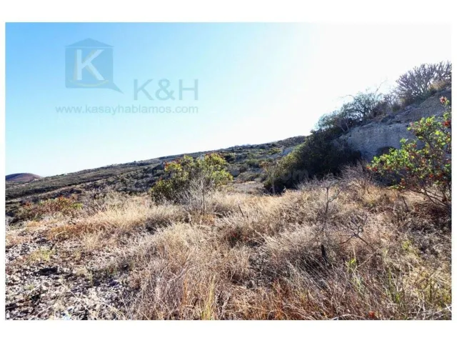 Gran terreno con huertas descansadas en Güimar — 24