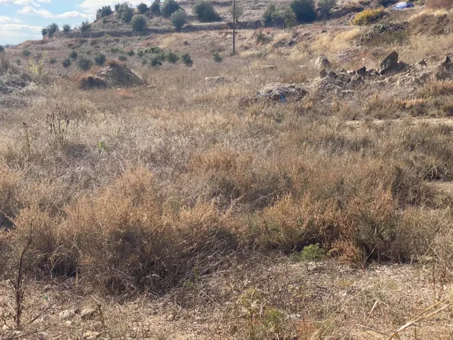 Terreno Urbanizable  en Torrefeta i florejacs, a 3km de Guissona — 16