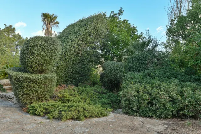 FINCA RUSTICA CON PISCINA EN INCA — 36