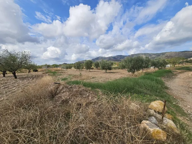 Casa de campo con terreno en la murta, corvera - Murcia — 13