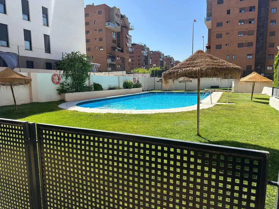 Pisazo de estudiantes con piscina