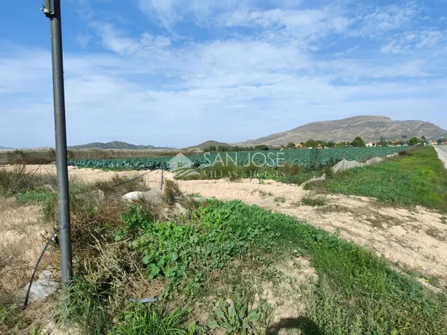 NUEVA PROPIEDAD SE VENDE TERRENO RURAL EN MONFORTE DEL CID EN EL CAMINO SAN VICENTE — 4