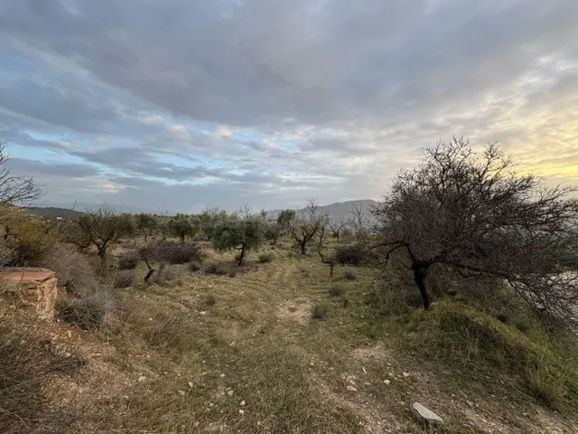 Terreno rural en venta - Murchas - foto 3