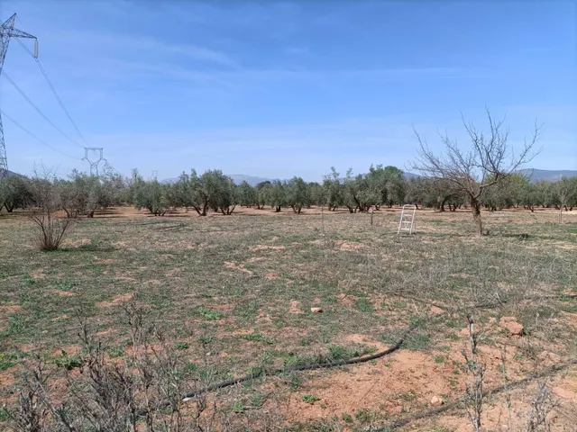 Finca rústica en venta — 16