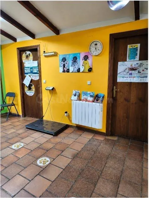 VENTA DE CLINICA VETERINARIA (TRASPASO) - foto 2
