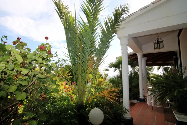 Encantadora casa en venta en Coín – ¡Una joya única con espectaculares vistas! — 12