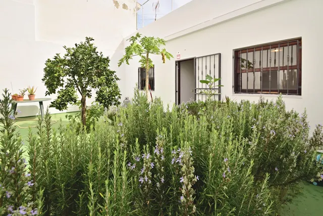 Excelente Casa Terrera en Pleno Centro — 35