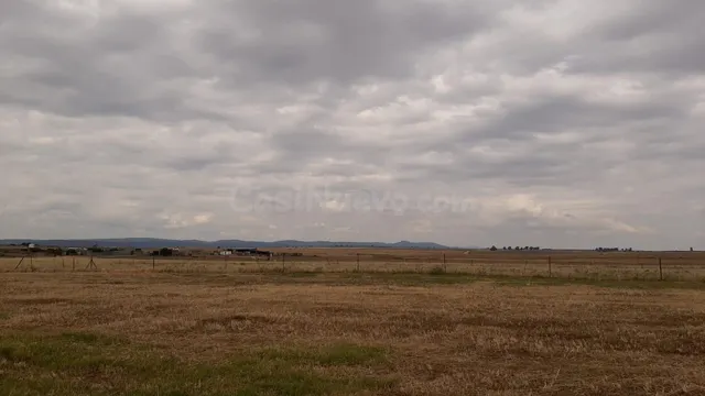 Parcelas de 1.500 metros en Malpartida de Cáceres - foto 4