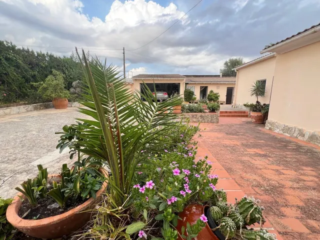 Espectacular Finca Rústica en Algaida | Vive en Plena Natura - foto 5