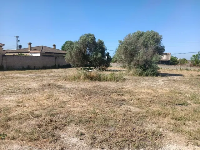 Chalet en zona Carretera Sanlúcar — 8