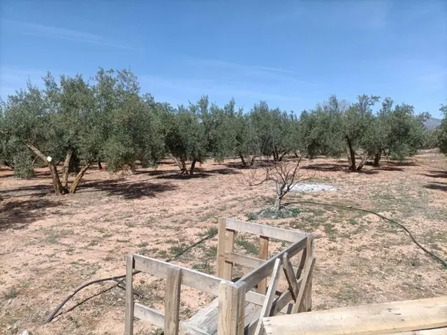 Finca Rústica — 9