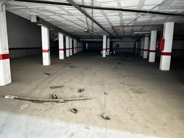 Local idóneo para supermercado, gimnasio y otras actividades comerciales con parkings — 15