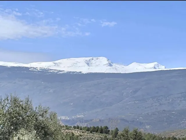 VIVIENDA EN LA CARRETERA PRINCIPAL DE ALCOLEA — 3