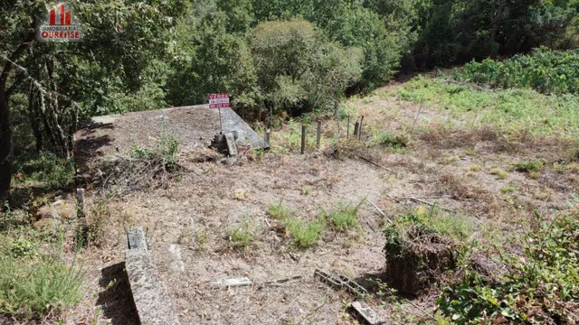 FINCA RUSTICA CON GALPON EN LA ZONA DE CASTRO DE BEIRO (AMOE - foto 5