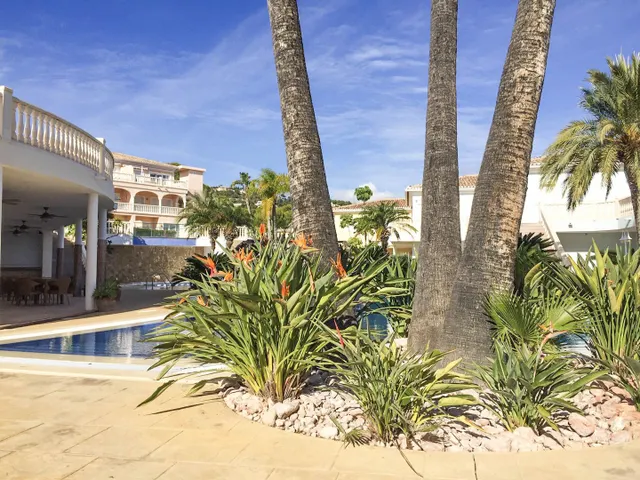 Apartamento 1 habitación 88m² en venta - Fanadix — 24