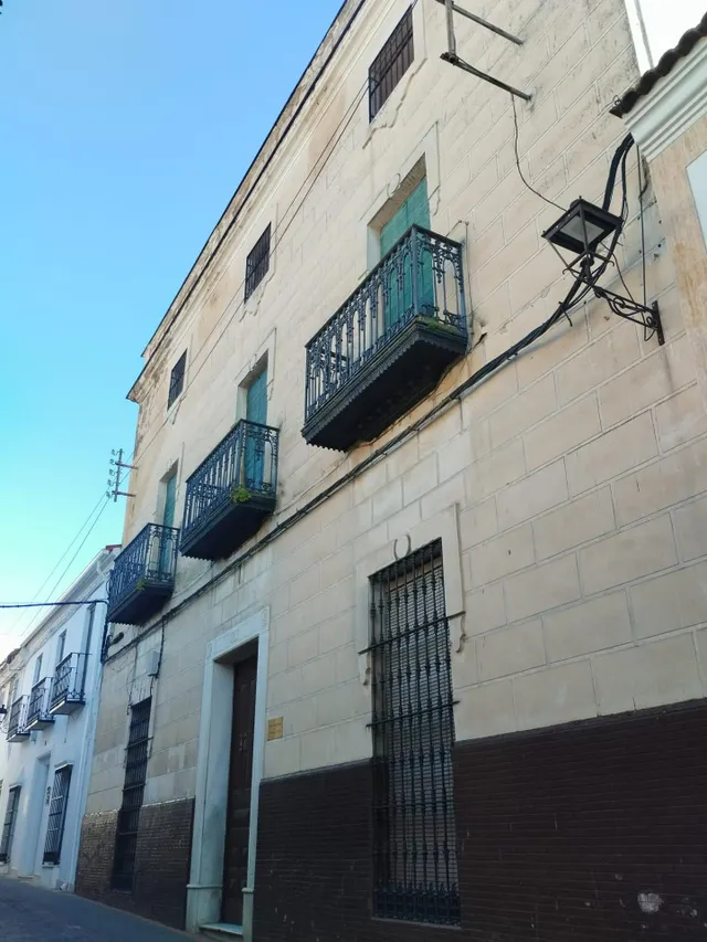 CASA PALACIO EN FUENTE DE CANTOS — 25